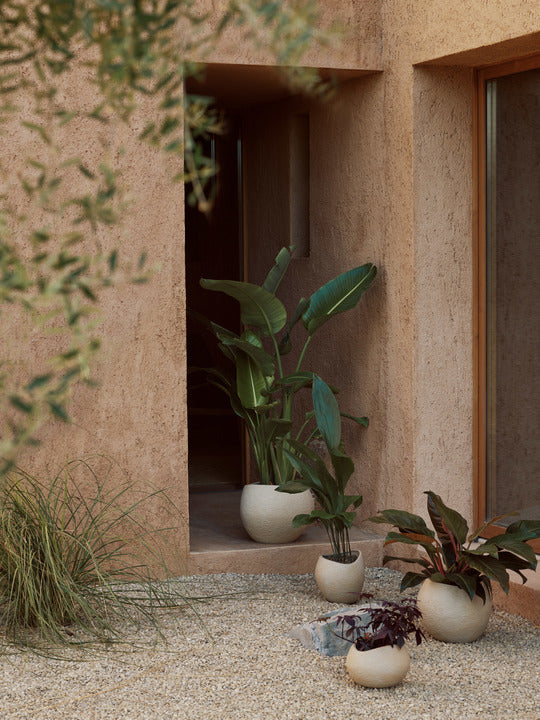Donica PLANTAS kamionka - Image 3
