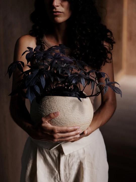 Donica PLANTAS kamionka - Image 5