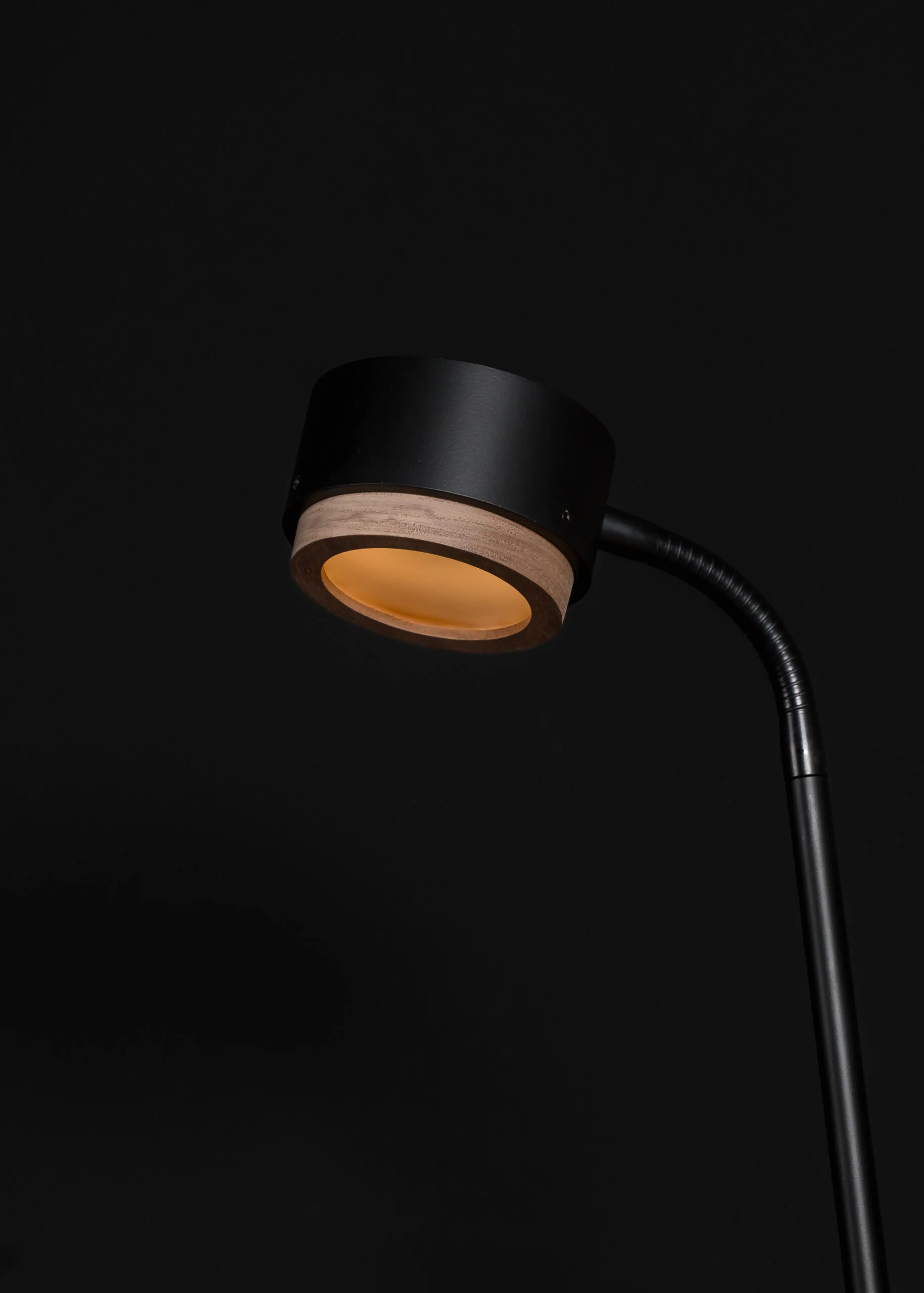 Lampa podłogowa JUBI aluminium z drewnem orzechowym - Image 4