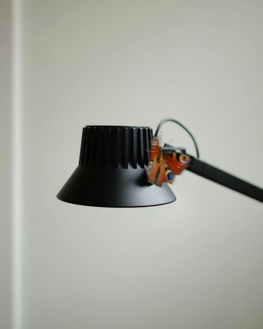 Lampa podłogowa do czytania regulowana DEDICATE czarny - Image 11