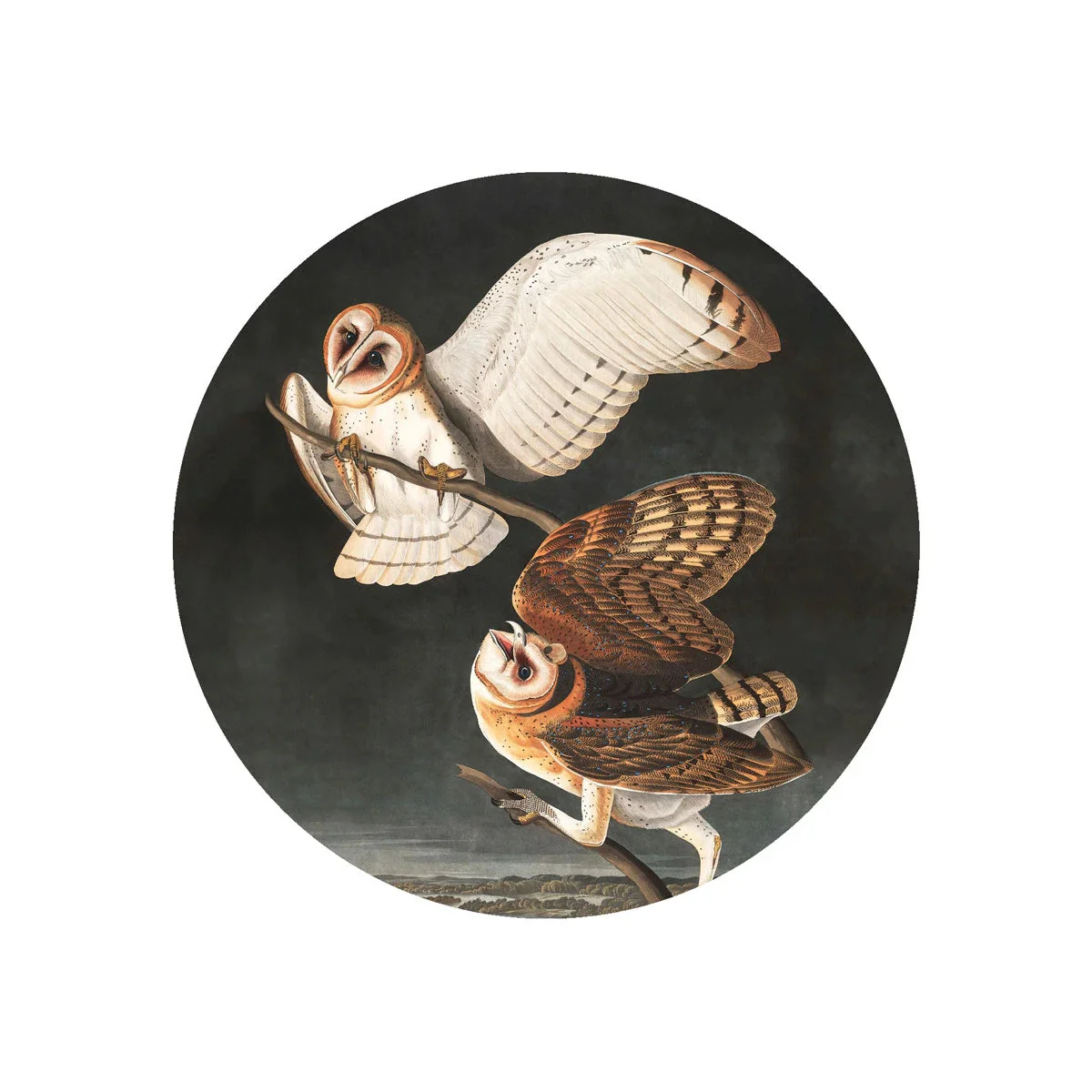 Lampa ścienna DOTS LIGHTING - OWLS ciemnoszary