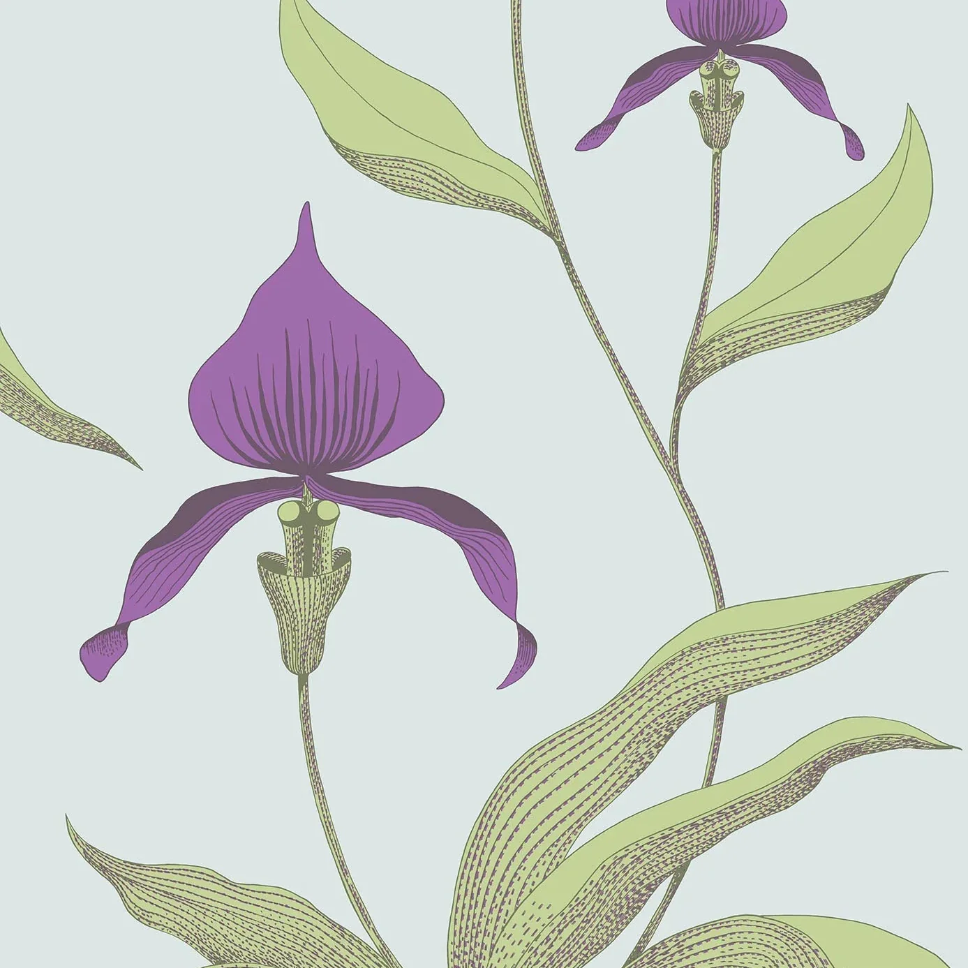 Tapeta z motywem roślinnym kwiatów orchidei CONTEMPORARY COLLECTION - ORCHID fioletowy z zielonym